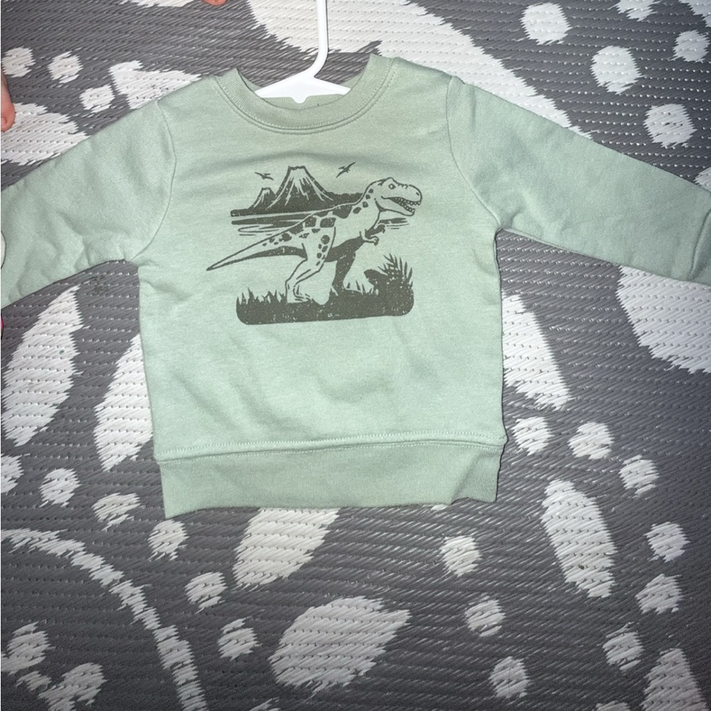 Garanimals Green Dinosaur Graphic Hoodie